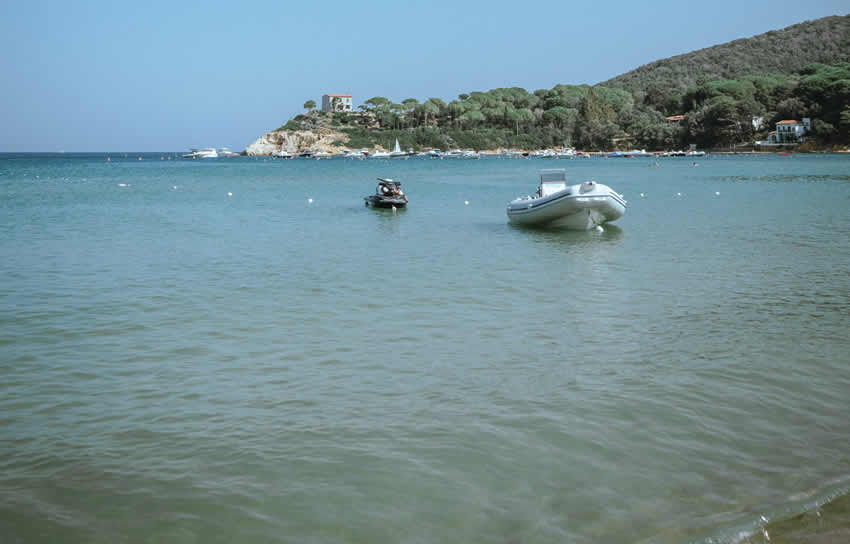 termeitalia.org